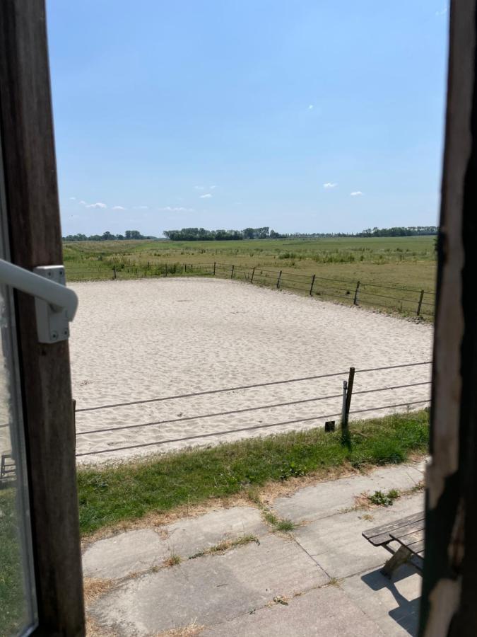 Bed and Breakfast The Horse Farm Garnwerd Экстерьер фото